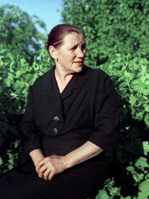    ,        1961 